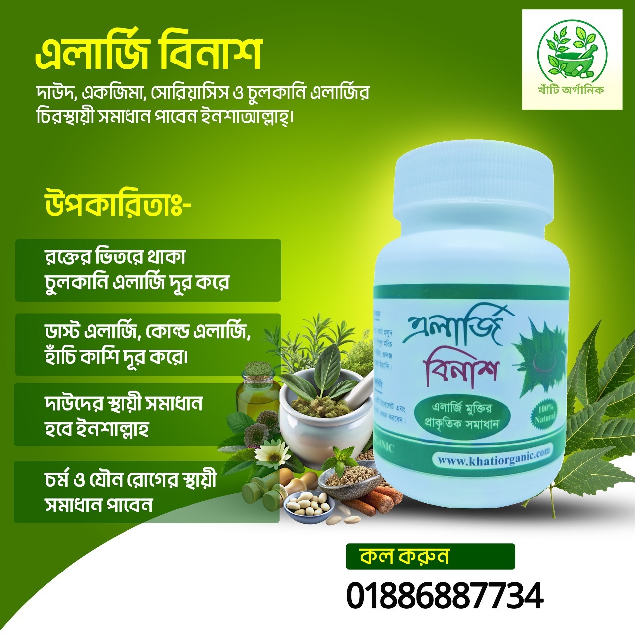 allergy binash info 2